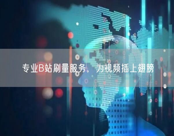 专业B站刷量服务，为视频插上翅膀