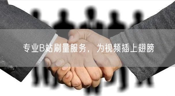 专业B站刷量服务，为视频插上翅膀