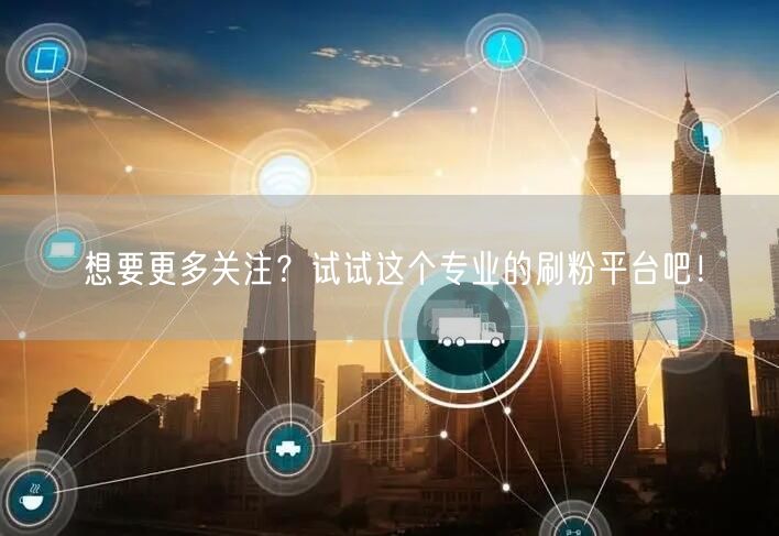 想要更多关注？试试这个专业的刷粉平台吧！