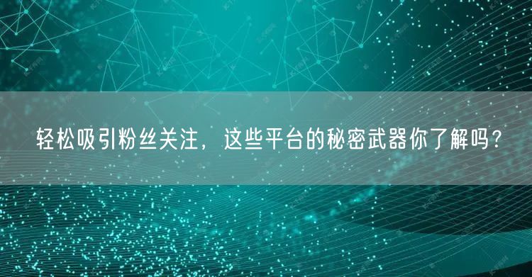 轻松吸引粉丝关注，这些平台的秘密武器你了解吗？